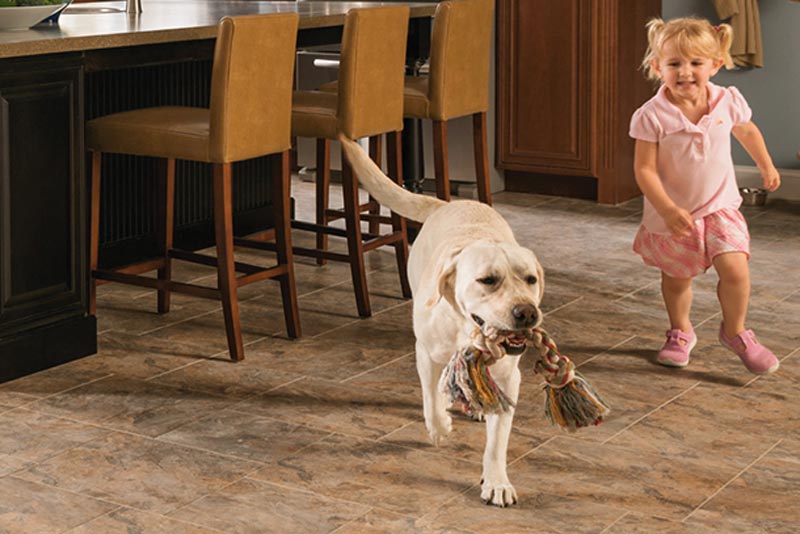 Best Flooring For Pets Construction Ventures Guide