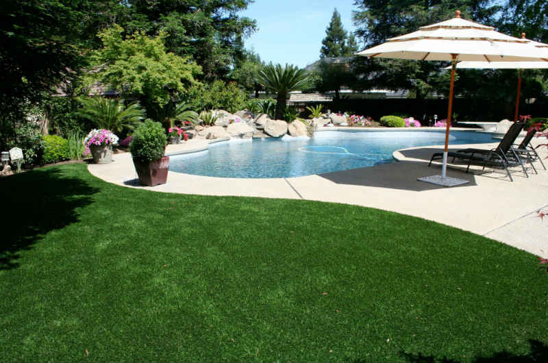 Designing your Swimming Pool