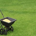 Nitrogen for Lawn Care – Do I Need it