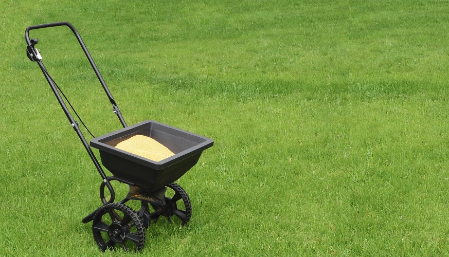 Nitrogen for Lawn Care – Do I Need it